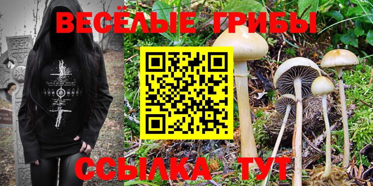 Codein Строитель