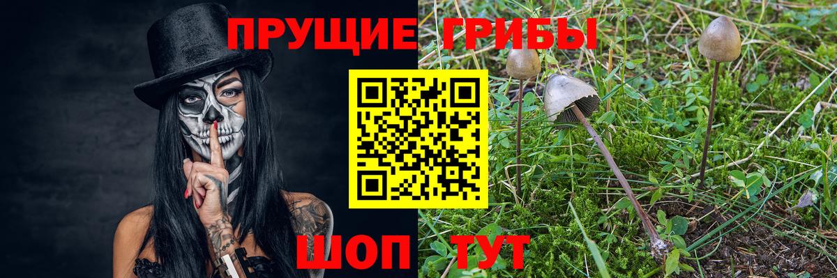 Псилоцибиновые грибы MAGIC MUSHROOMS Строитель