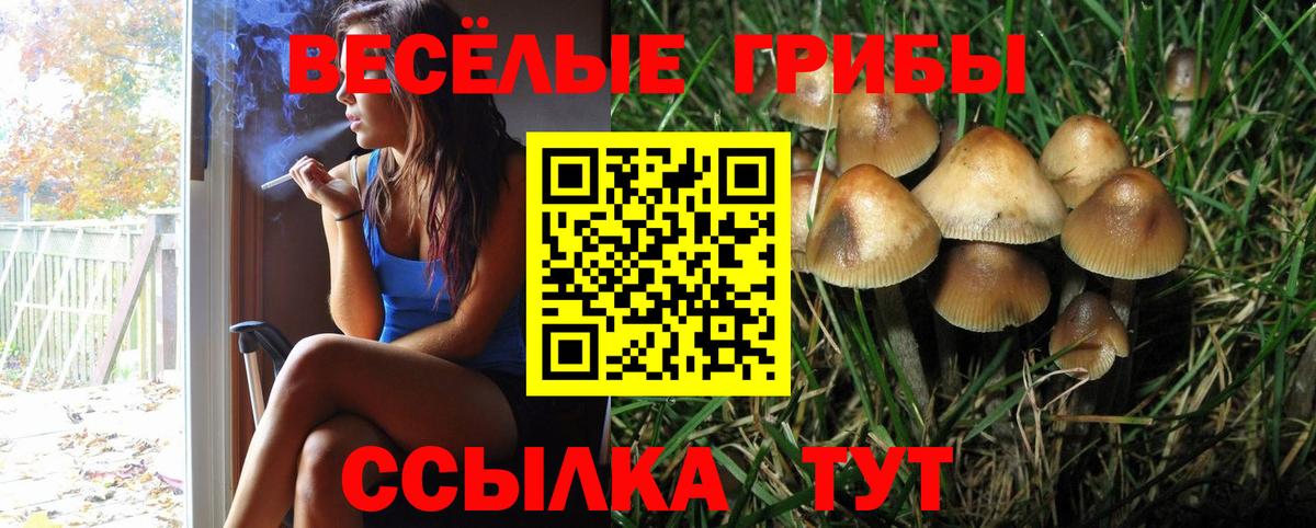 Псилоцибиновые грибы GOLDEN TEACHER  Вход с VPN  Строитель 